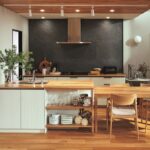 STEDIA-ステディア-